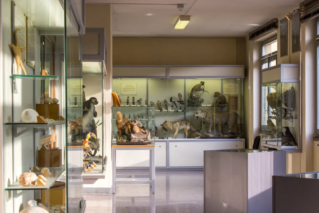 Un soffio di primavera, appuntamento al museo civico