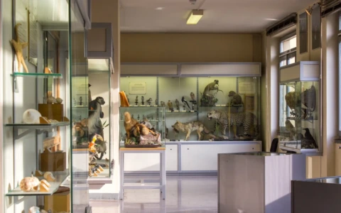 Un soffio di primavera, appuntamento al museo civico