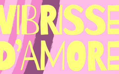 Il centro anziani celebra la Giornata della donna con la commedia Vibrisse d’Amore