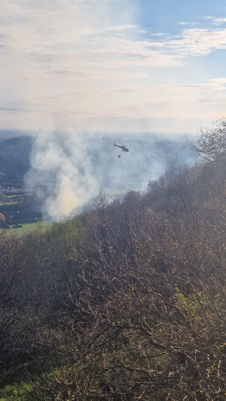 Incendio nel bosco, nuovo intervento dei Vigili del fuoco FOTO e VIDEO