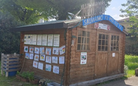 Merate, la scuola primaria di via Montello alla scoperta dell’energia pulita con la Proloco