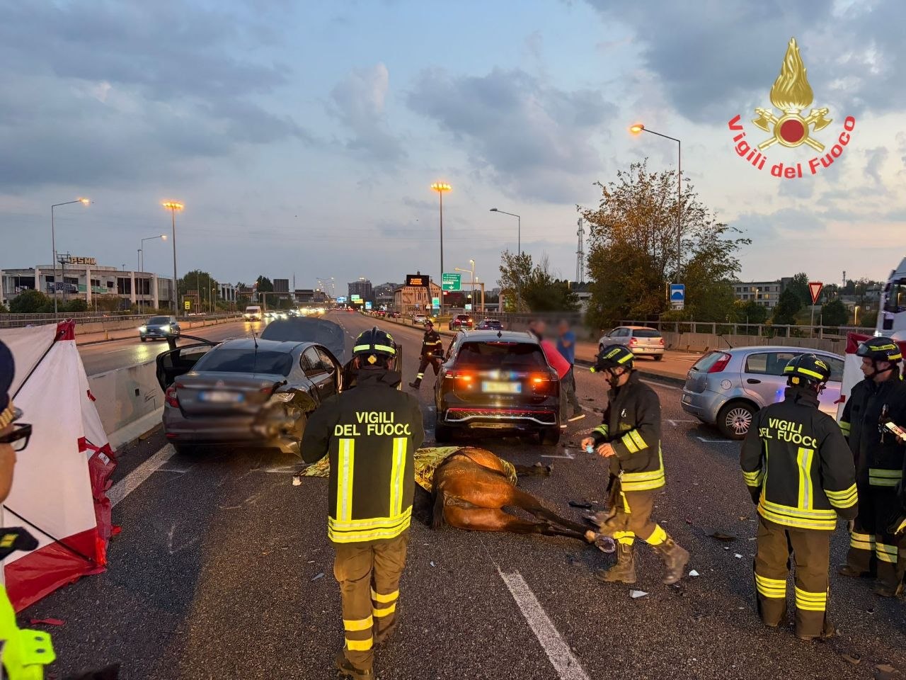 Cavalli in fuga sulla Valassina, maxi incidente LE FOTO