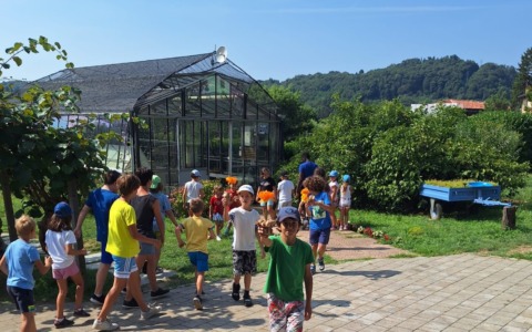 Verso Hogwarts: il Summer Camp 2026 della Casa dei Ragazzi di Olgiate Molgora