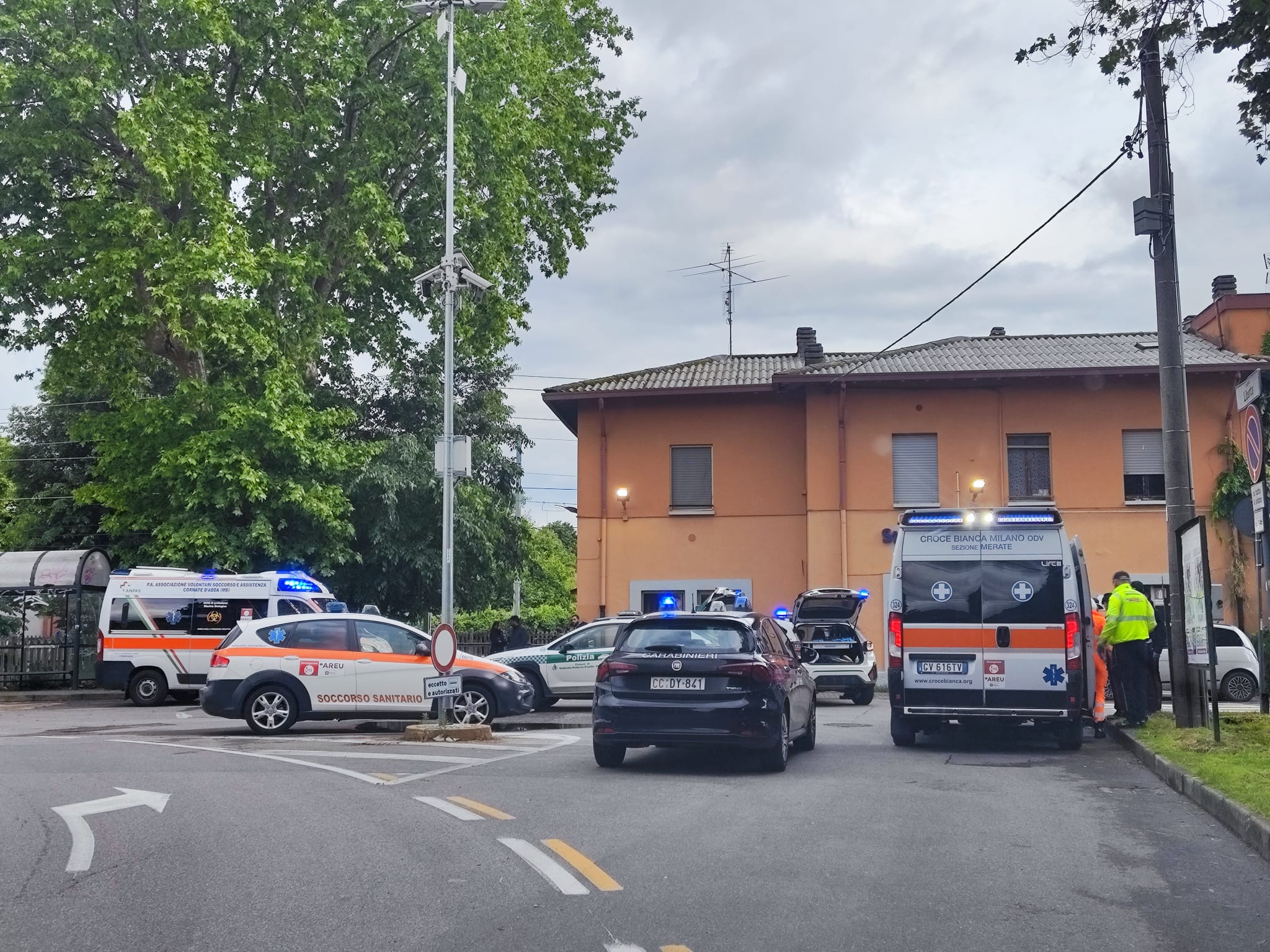 lite violenta