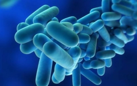 Rischio legionella negli ambienti di lavoro, incontro in Confapi