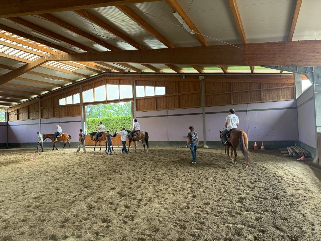 Formazione aziendale e sport equestre, la nuova frontiera