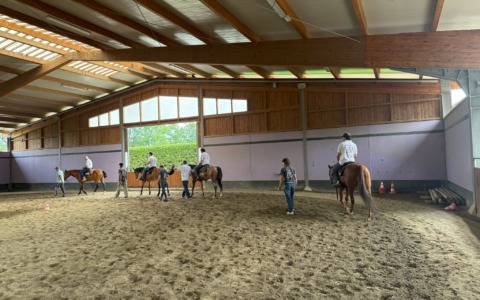 Formazione aziendale e sport equestre, la nuova frontiera