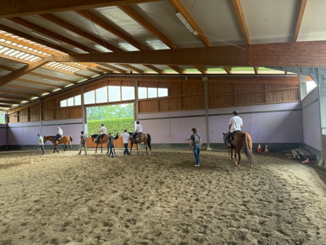 Formazione aziendale e sport equestre, la nuova frontiera