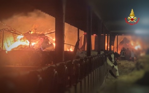 Maxi incendio nella notte in un’azienda agricola LE FOTO