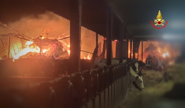 Maxi incendio nella notte in un’azienda agricola LE FOTO