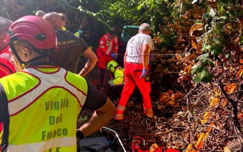 Anziano si ferisce mentre taglia un albero