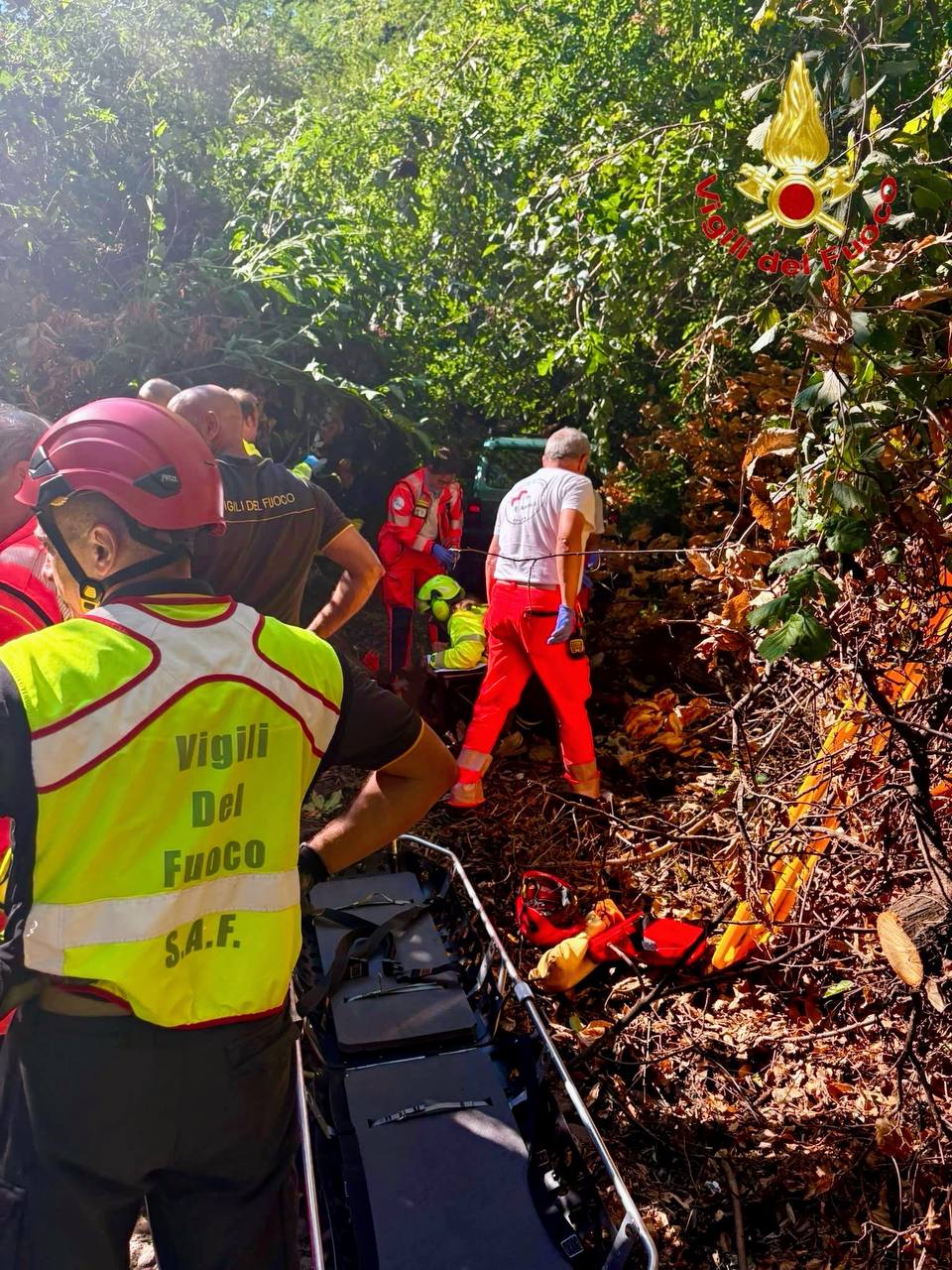 Anziano si ferisce mentre taglia un albero