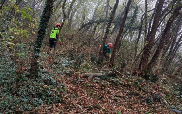 Parco del Monte Barro: riscoperti i fossili studiati dal celebre naturalista e geologo lecchese Antonio Stoppani