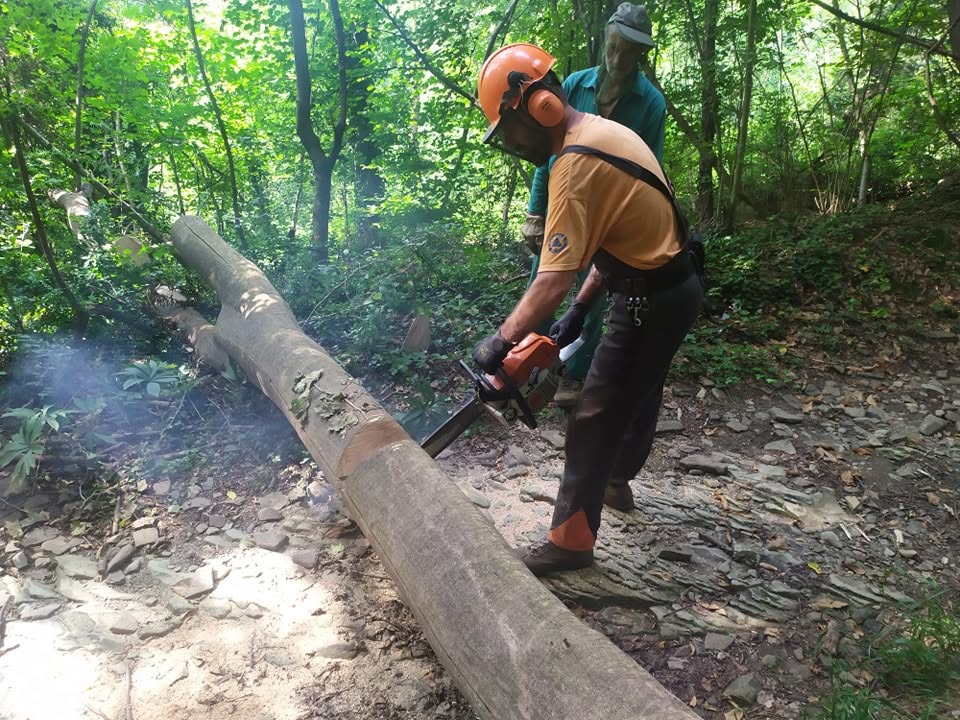 Campo di lavoro con il Parco del Curone