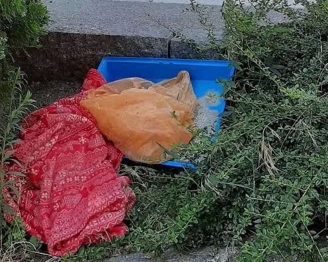 Rifiuti abbandonati in un’aiuola: due ragazze identificate e multate