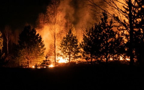 Incendi boschivi, le raccomandazioni del Parco del Curone e della Regione