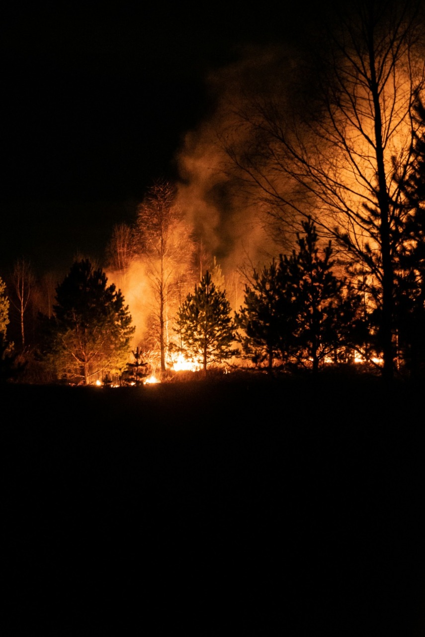 Incendi boschivi, le raccomandazioni del Parco del Curone e della Regione