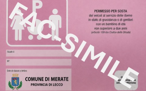 Arriva il pass rosa, contrassegno speciale per donne in gravidanza e genitori