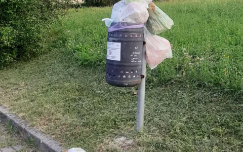Brivio, rifiuti abbandonati accanto al cestino del parcheggio del cimitero: “Il problema si ripete ogni due giorni”