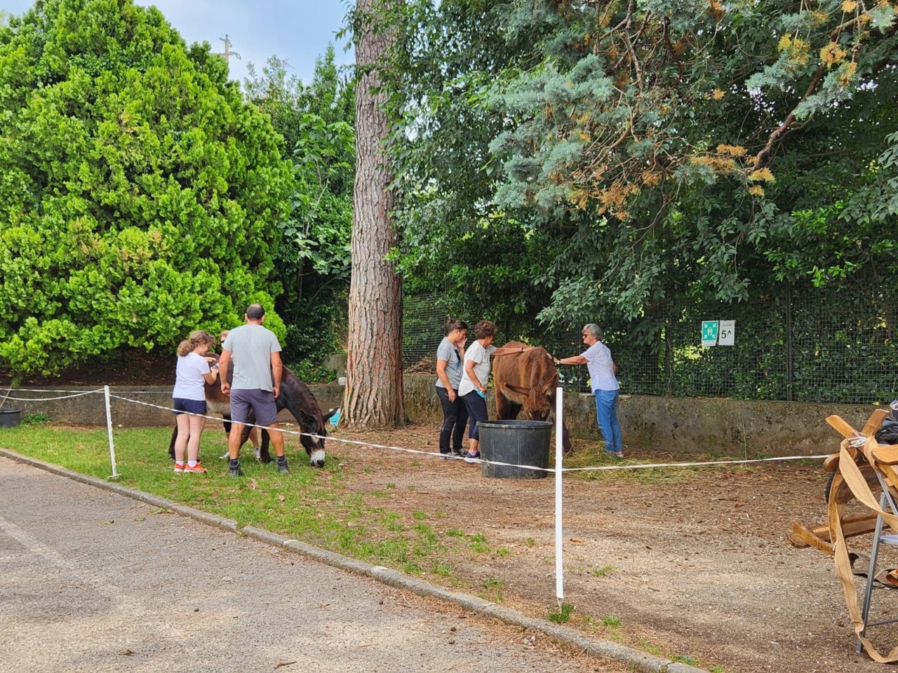 Provincia di Lecco, torna “Generazione Gold – Attivati!”: un mese di eventi gratuiti per gli over 65