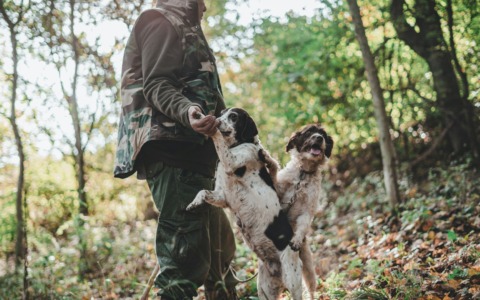 Addestra cani da caccia nel Parco del Curone: identificato e sanzionato dalle Gev