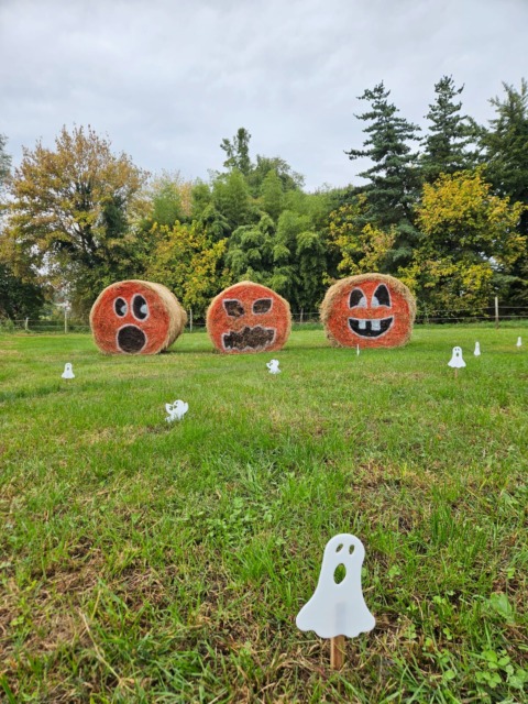 Campo delle zucche in fattoria per ricordare Teo Carozzi