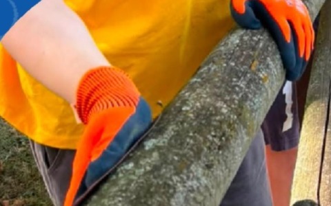 Una nuova esperienza di cittadinanza attiva, arriva Util’Autunno